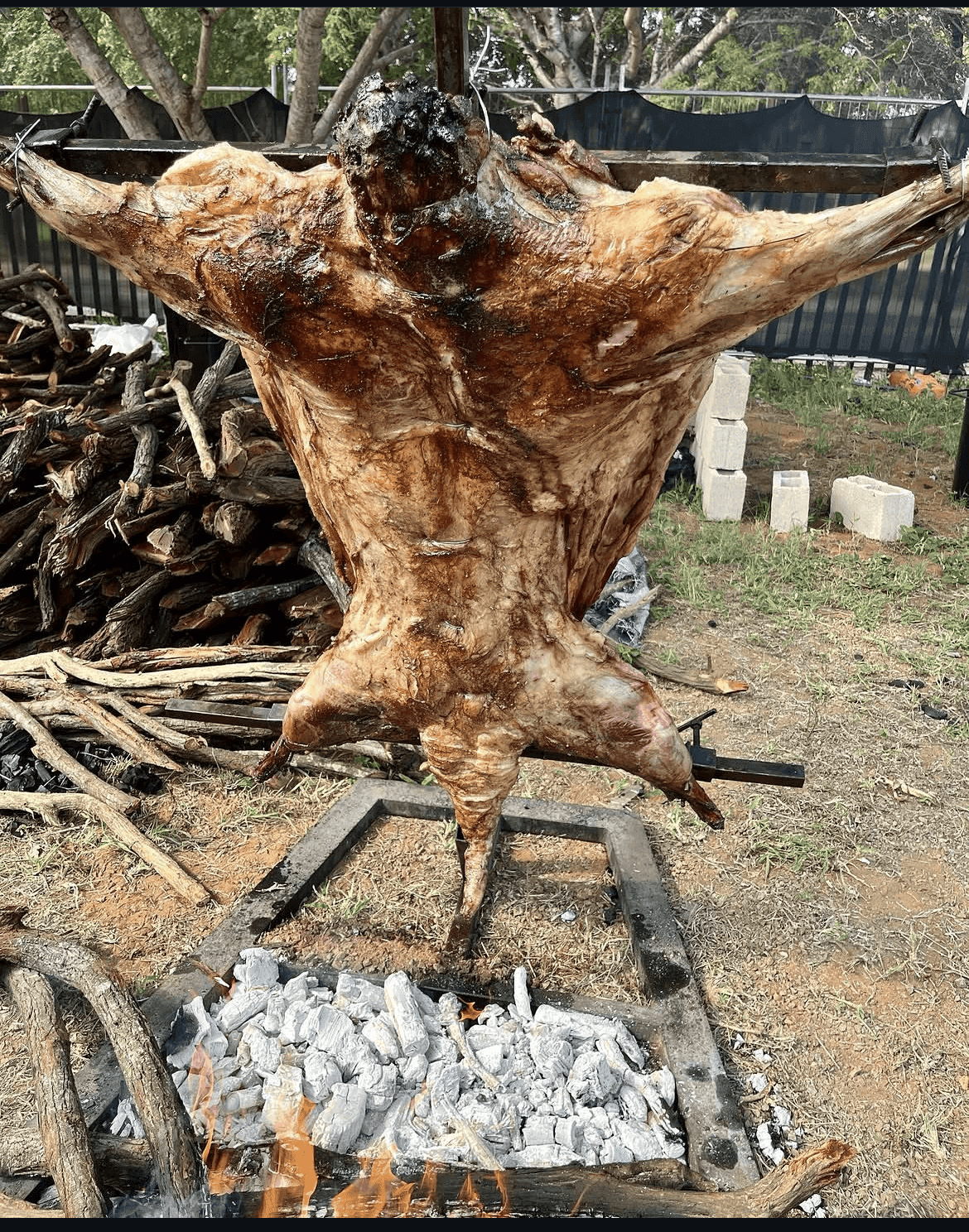 A whole lamb roasting slowly over glowing coals.